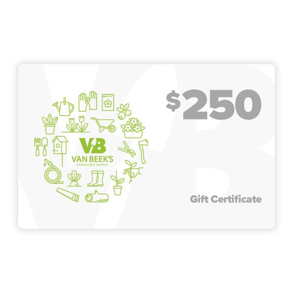 $250.00 VB Gift Certificate